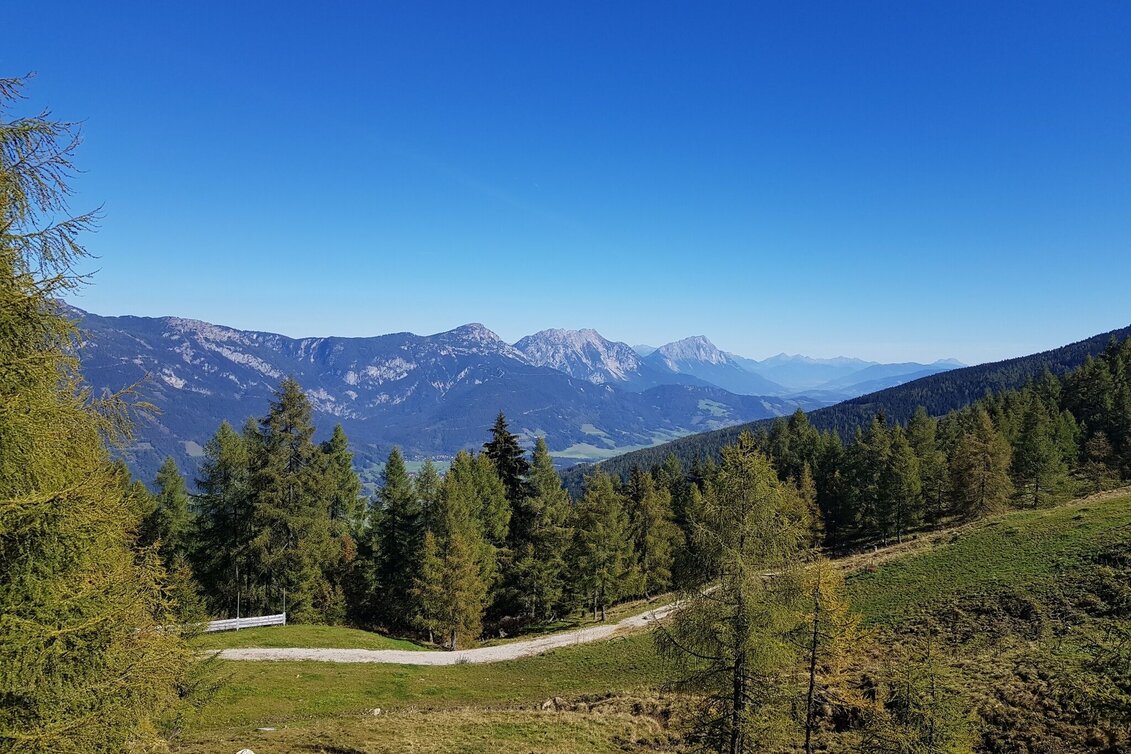 Hiking Route Trail n° 50 to Planai - Touren-Impression #1 | © Gerhard Pilz