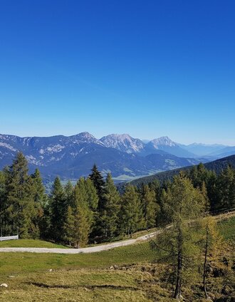 Blick ins Ennstal vom Wanderweg #50 auf die Planai | Gerhard Pilz | © Gerhard Pilz