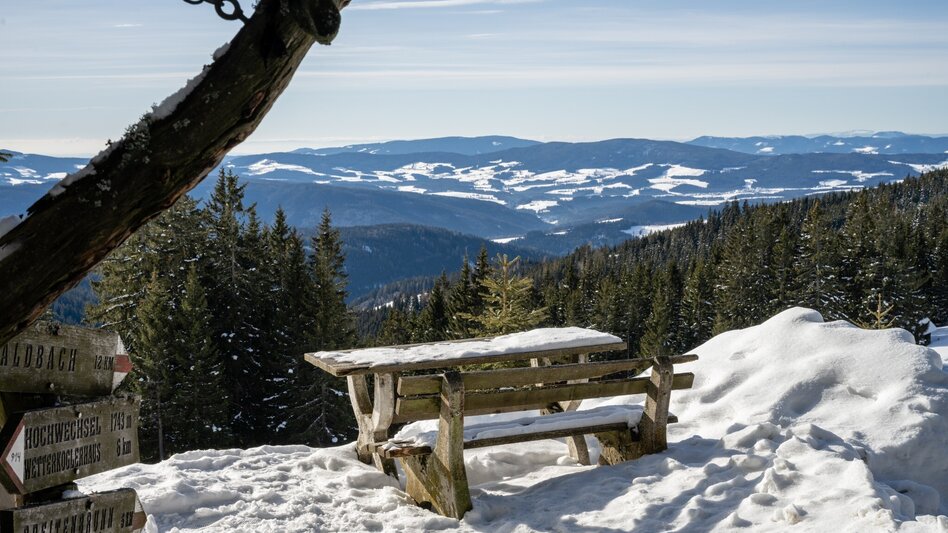 Snowshoe Walking Hochwechsel - Snowshoe tour along the Schwaigen, Waldbach-Mönichwald - Touren-Impression #2.7 | © Oststeiermark Tourismus