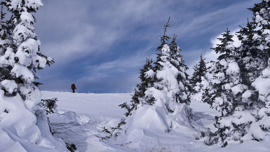 Snowshoe Walking Hochwechsel - Snowshoe tour along the Schwaigen, Waldbach-Mönichwald - Touren-Impression #2.6 | © Oststeiermark Tourismus