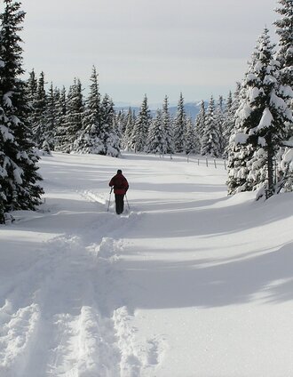 Winterwandern | Oststeiermark Tourismus | © Oststeiermark Tourismus