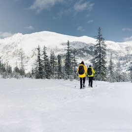 Unterwegs im Winterwald Richtung Hochplateau | © Erlebnisregion Schladming-Dachstein