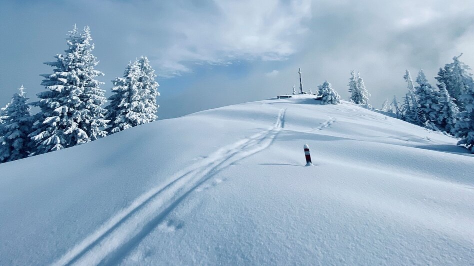 Snowshoe Walking Snowshoe hiking tour Hohe Trett - Touren-Impression #2.6 | © Erlebnisregion Schladming-Dachstein