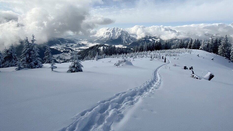 Snowshoe Walking Snowshoe hiking tour Hohe Trett - Touren-Impression #2.7 | © Erlebnisregion Schladming-Dachstein