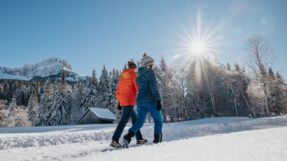Winterwandern Winterwanderung Blaa Alm - Touren-Impression #2.4 | © Tourismusverband Ausseerland Salzkammergut