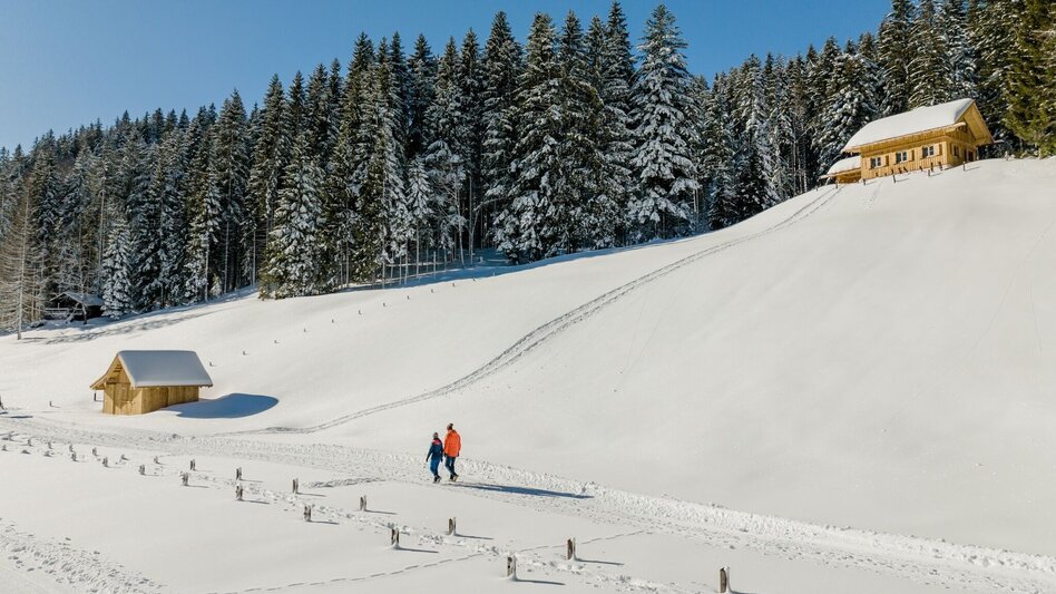 Winterwandern Winterwanderung Blaa Alm - Touren-Impression #2.5 | © Tourismusverband Ausseerland Salzkammergut