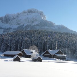 Blaa Alm mit  Sicht auf den Loser | © Tourismusverband Ausseerland Salzkammergut