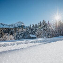 Winterwanderung Blaa Alm | © Tourismusverband Ausseerland Salzkammergut