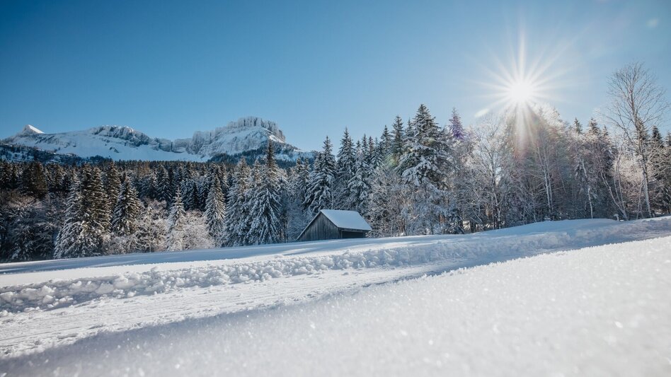 Winter Hiking Winter hike from the Loser Ski Arena to the Blaa Alm - Touren-Impression #2.1 | © Tourismusverband Ausseerland Salzkammergut