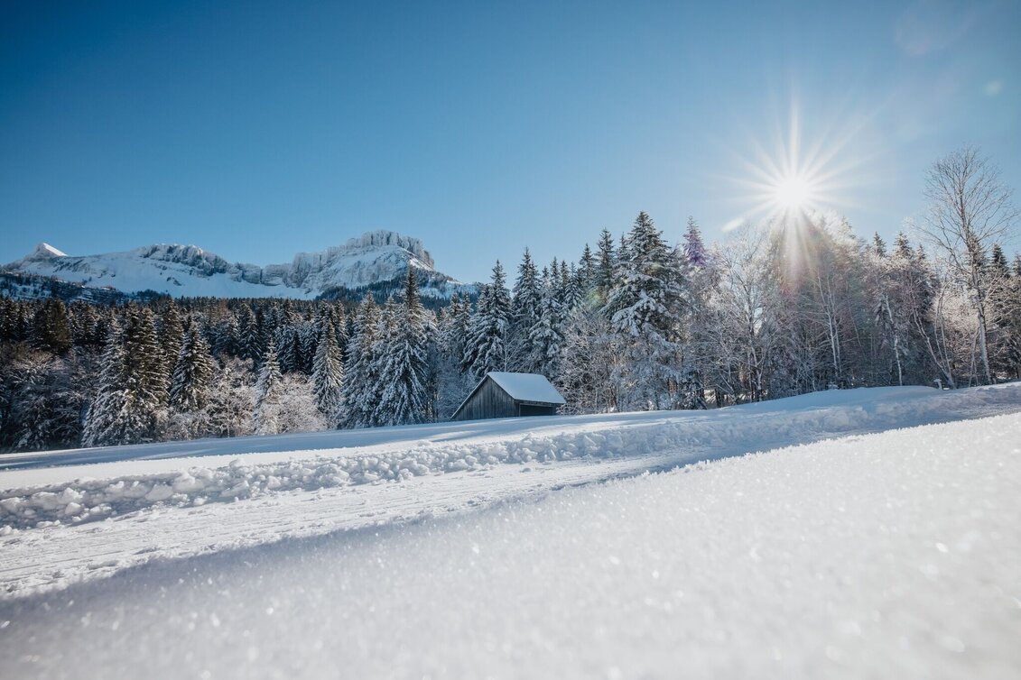 Winter Hiking Winter hike from the Loser Ski Arena to the Blaa Alm - Touren-Impression #1 | © Tourismusverband Ausseerland Salzkammergut