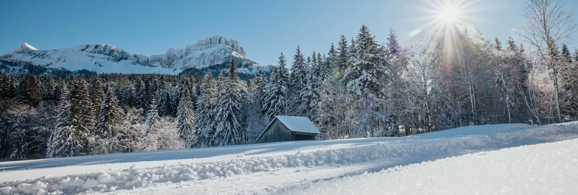 Winterwandern Winterwanderung von der Loser Skiarena zur Blaa Alm - Touren-Impression #1 | © Ausseerland