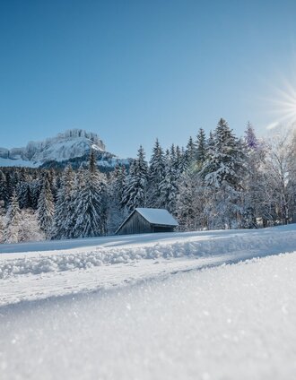 Winterwanderung Blaa Alm | Katrin Kerschbaumer | © Tourismusverband Ausseerland Salzkammergut