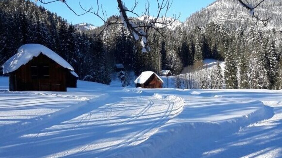 Winter Hiking Winter hike from the Loser Ski Arena to the Blaa Alm - Touren-Impression #2.2 | © Tourismusverband Ausseerland Salzkammergut