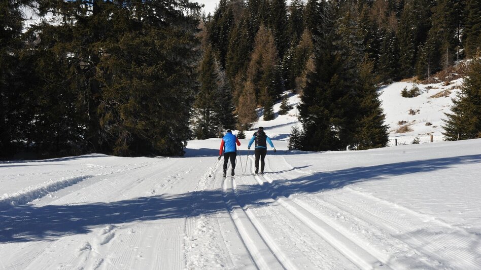 Ski-Nordic Skating Lachtal high-altitude trail - Touren-Impression #2.1 | © Tourismusverband Murau