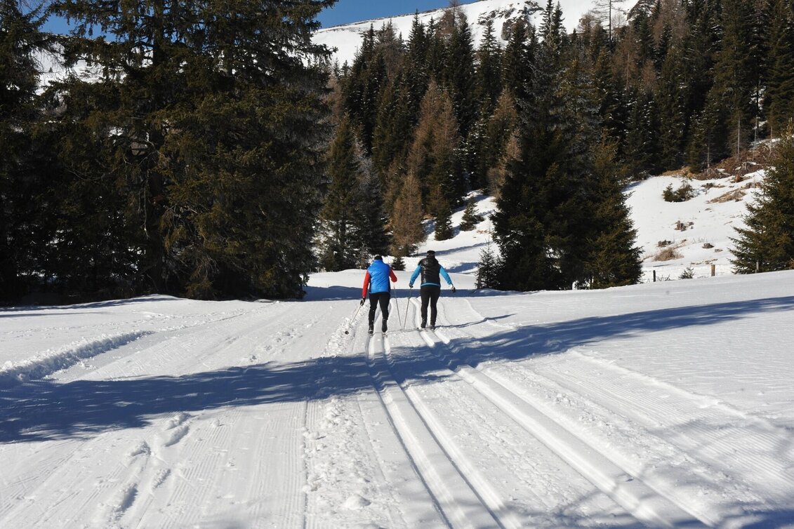 Ski-Nordic Skating Lachtal high-altitude trail - Touren-Impression #1 | © Tourismusverband Murau