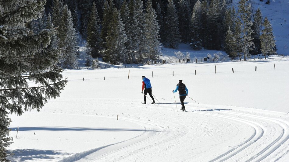 Ski-Nordic Skating Lachtal high-altitude trail - Touren-Impression #2.2 | © Tourismusverband Murau