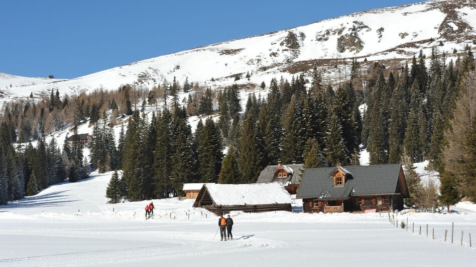 Ski-Nordic Skating Lachtal high-altitude trail - Touren-Impression #2.3 | © Tourismusverband Murau