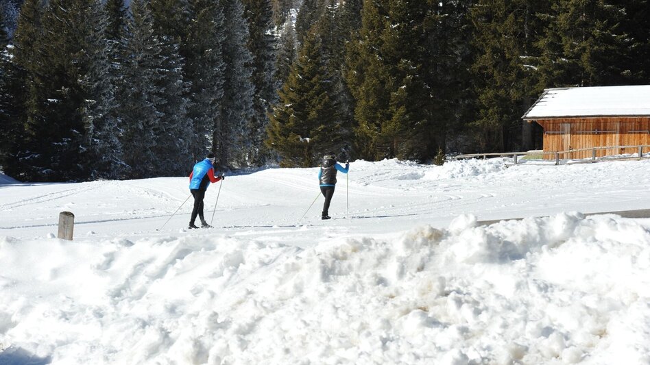 Ski-Nordic Skating Lachtal high-altitude trail - Touren-Impression #2.4 | © Tourismusverband Murau
