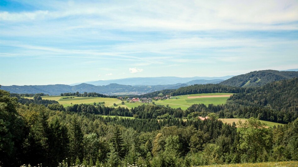 Wanderung Friesach - Ferstlhöhe - Gratkorn - Touren-Impression #2.6 | © Region Graz