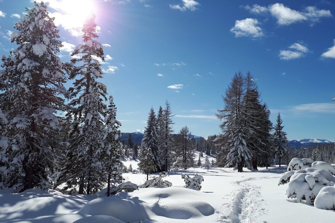 Winter Hiking Lake Krakaudorf - Touren-Impression #1 | © Tourismusverband Murau
