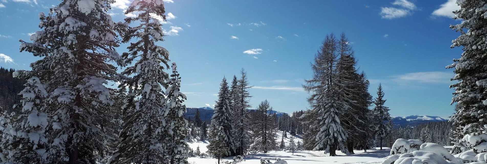 Winterwandern Badesee Krakaudorf - Touren-Impression #1 | © Tourismusverband Region Murau
