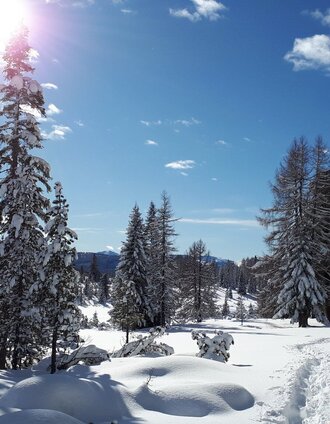 Winterwandern | Klothilde Schnedl | © Tourismusverband Murau