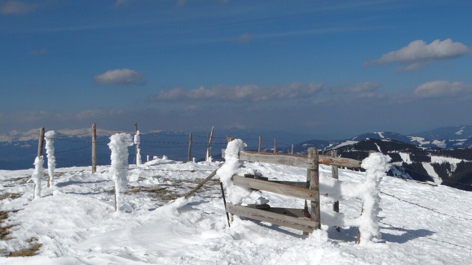 Schneeschuhwandern Durch den Schnee auf den Stubalm-Speikkogel - Touren-Impression #2.2 | © (c) www.weg-es.at