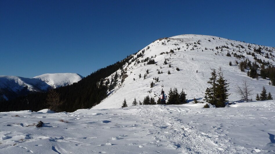 Schneeschuhwandern Auf den Rappold auf der Stubalm - Touren-Impression #2.3 | © Alpenverein Knittelfeld