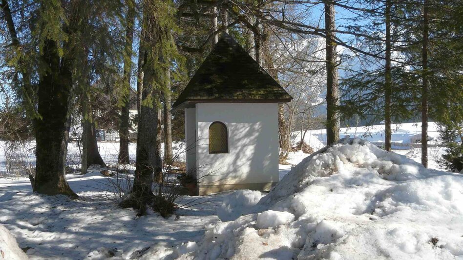 Winterwandern Winterwanderung Bad Mitterndorf - Touren-Impression #2.9 | © TVB Ausseerland - Salzkammergut/H. Rastl