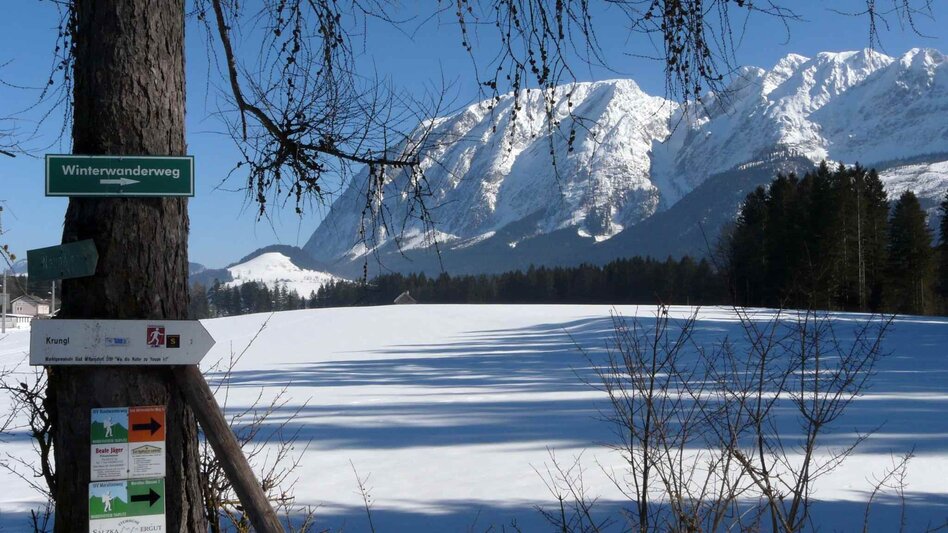 Winterwandern Winterwanderung Bad Mitterndorf - Touren-Impression #2.10 | © TVB Ausseerland - Salzkammergut/H. Rastl