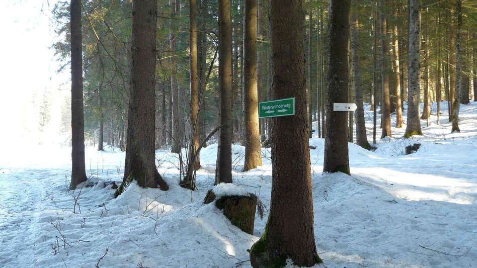 Winterwandern Winterwanderung Bad Mitterndorf - Touren-Impression #2.13 | © TVB Ausseerland - Salzkammergut/H. Rastl
