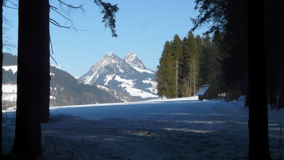 Winterwandern Winterwanderung Bad Mitterndorf - Touren-Impression #2.14 | © TVB Ausseerland - Salzkammergut/H. Rastl