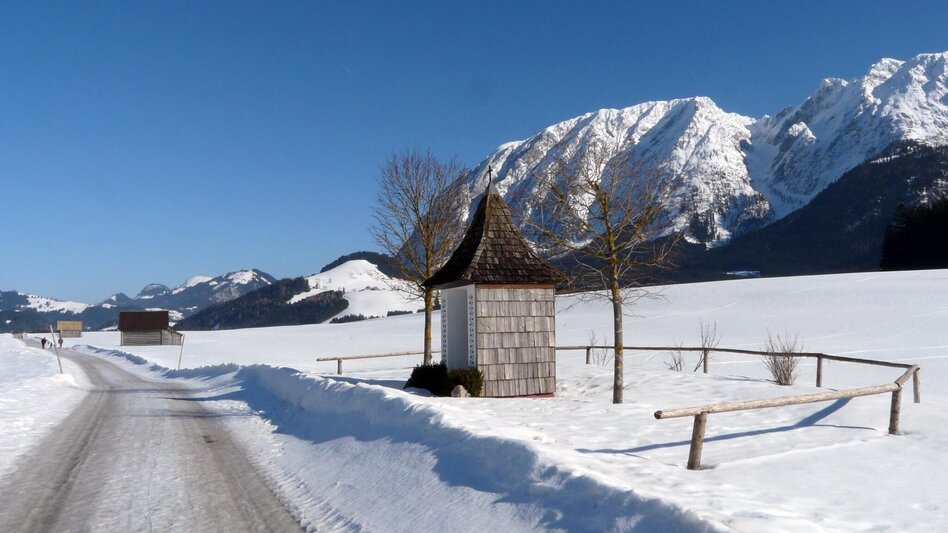 Winterwandern Winterwanderung Bad Mitterndorf - Touren-Impression #2.2 | © Tourismusverband Ausseerland Salzkammergut