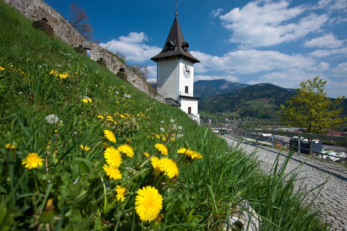 Hiking Route Etappe 1c: Variante BergZeitReise Bodenbauer - Hochschwab - Schiestlhaus - Touren-Impression #1 | © TV Hochsteiermark