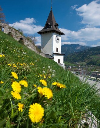 Der Brucker Schlossberg | Harry Schiffer | © TV Hochsteiermark