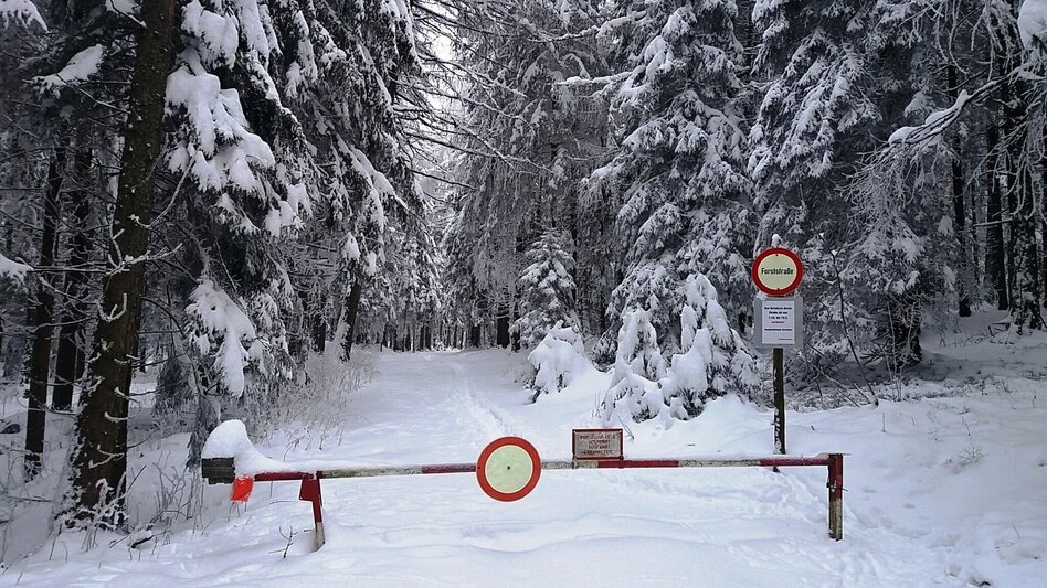 Schneeschuhwandern Im Schnee auf die Packeralpe - Touren-Impression #2.2 | © Region Graz