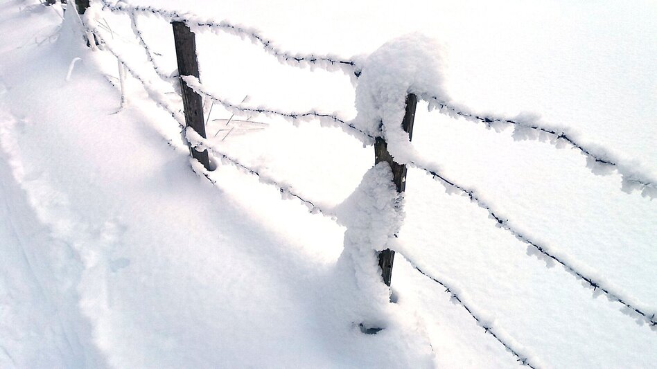 Schneeschuhwandern Im Schnee auf die Packeralpe - Touren-Impression #2.4 | © Region Graz