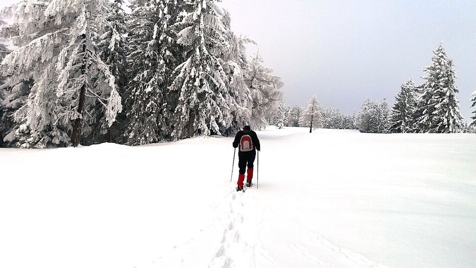 Schneeschuhwandern Im Schnee auf die Packeralpe - Touren-Impression #2.5 | © Region Graz