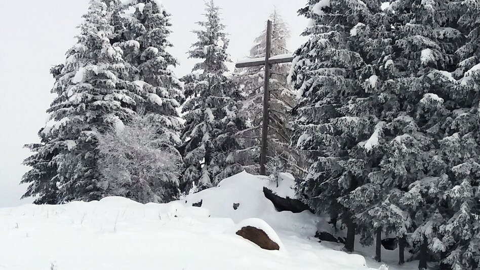 Schneeschuhwandern Im Schnee auf die Packeralpe - Touren-Impression #2.6 | © Region Graz
