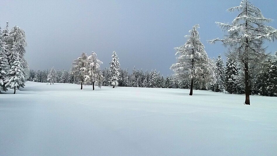Schneeschuhwandern Im Schnee auf die Packeralpe - Touren-Impression #2.7 | © Region Graz