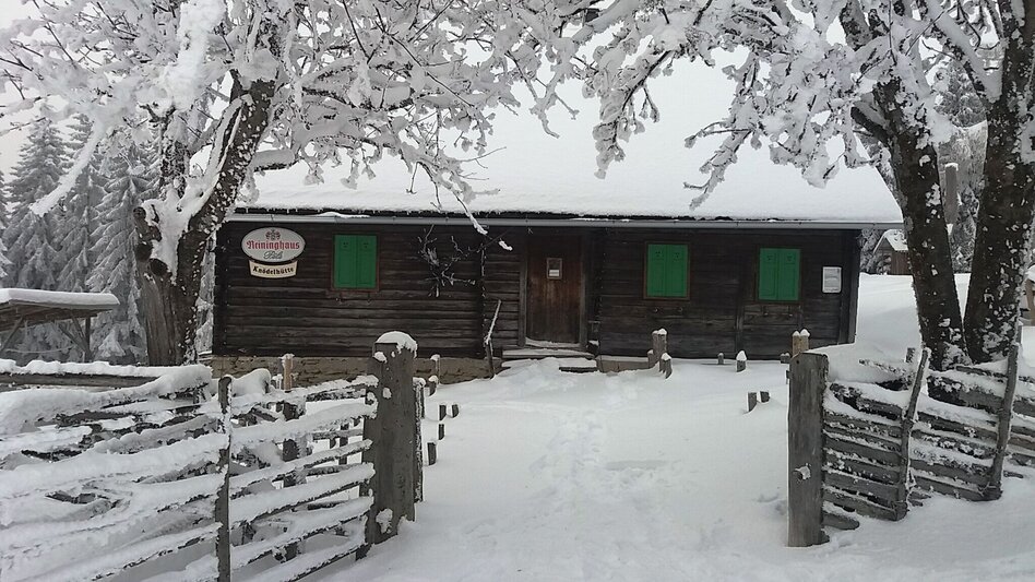 Schneeschuhwandern Im Schnee auf die Packeralpe - Touren-Impression #2.8 | © Region Graz