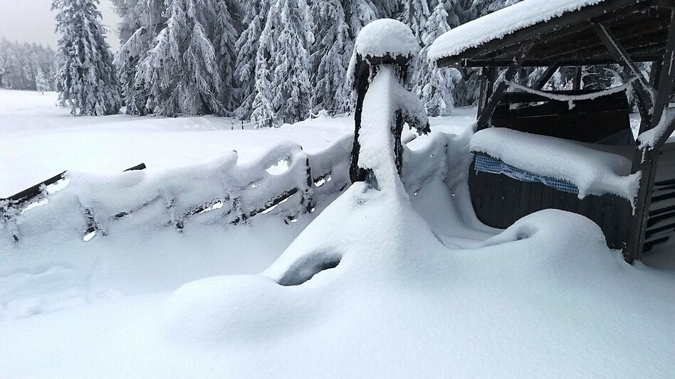 Schneeschuhwandern Im Schnee auf die Packeralpe - Touren-Impression #2.9 | © Region Graz