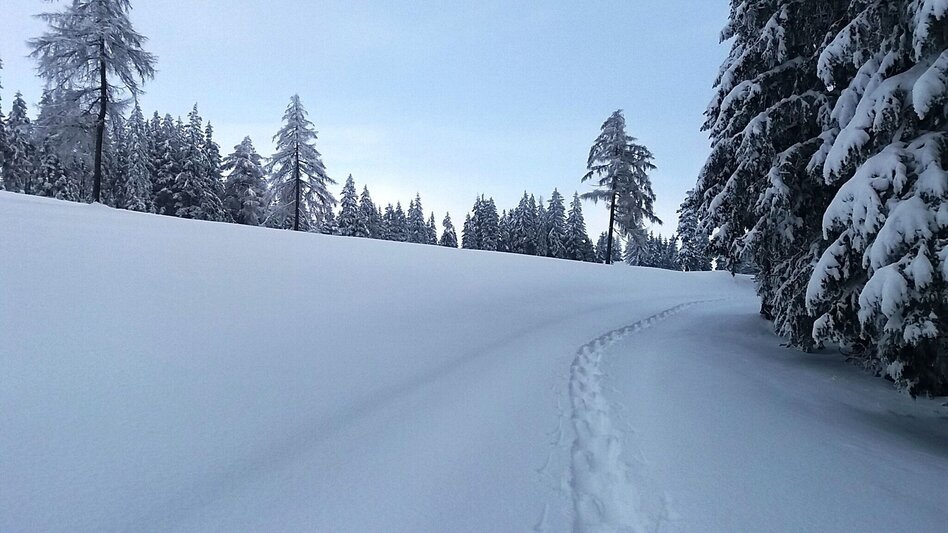 Schneeschuhwandern Im Schnee auf die Packeralpe - Touren-Impression #2.10 | © Region Graz
