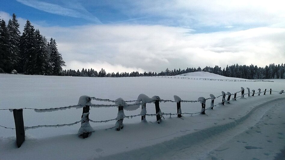 Schneeschuhwandern Im Schnee auf die Packeralpe - Touren-Impression #2.11 | © Region Graz