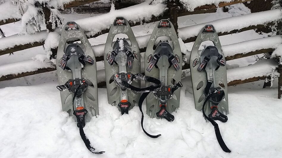 Schneeschuhwandern Im Schnee auf die Packeralpe - Touren-Impression #2.12 | © Region Graz