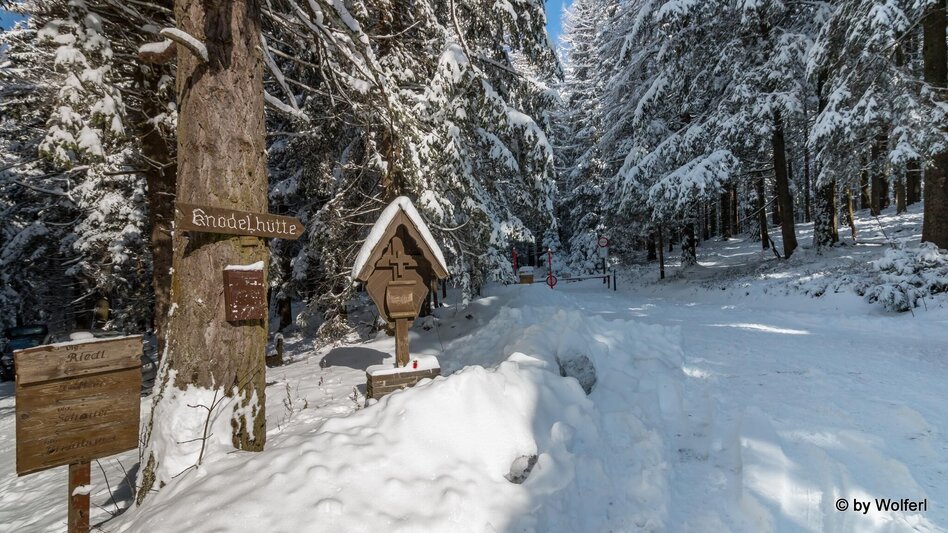 Schneeschuhwandern Im Schnee auf die Packeralpe - Touren-Impression #2.13 | © Community