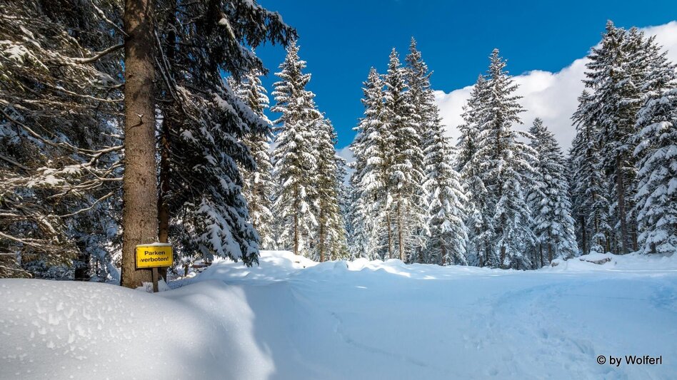 Schneeschuhwandern Im Schnee auf die Packeralpe - Touren-Impression #2.14 | © Community