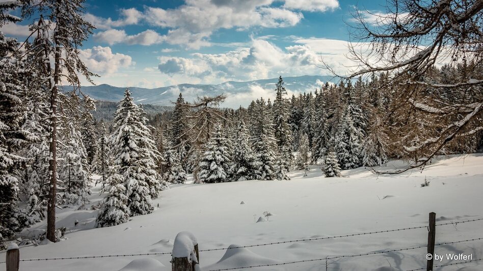Schneeschuhwandern Im Schnee auf die Packeralpe - Touren-Impression #2.15 | © Community