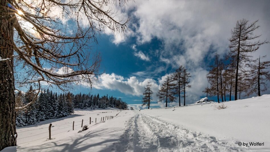 Schneeschuhwandern Im Schnee auf die Packeralpe - Touren-Impression #2.16 | © Community