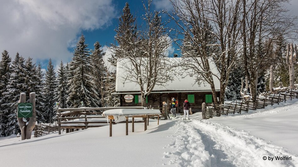 Schneeschuhwandern Im Schnee auf die Packeralpe - Touren-Impression #2.17 | © Community